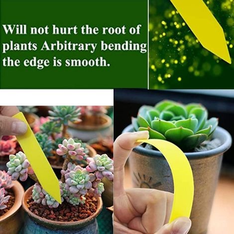Packung Mit 200 Wasserfesten Kunststoffetiketten Für Gartenpflanzen (5 X 1 Cm), Ideal Für Die Aussaat Von Freilandpflanzen Und Topfblumen, Gelb.