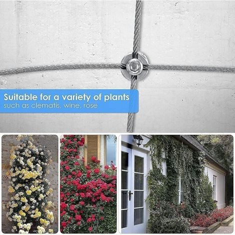 Edelstahl-rankgitter Für Kletterpflanzen – Professionelles System Mit Wandhalterungen – 3 Mm Stahlseil, 12 M, 8 Halterungen