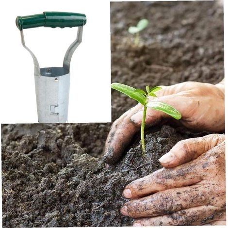 Blumenzwiebelpflanzer: Das Ideale Gartenzubehör Zum Pflanzen Von Blumenzwiebeln