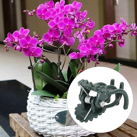 20 Stück Blütenförmige Pflanzenclips, Orchideenstängel-befestigungsclips, Gartenwerkzeugzubehör, Pflanzen-, Gemüse- Und Rankenbefestigungsklammern (grün)