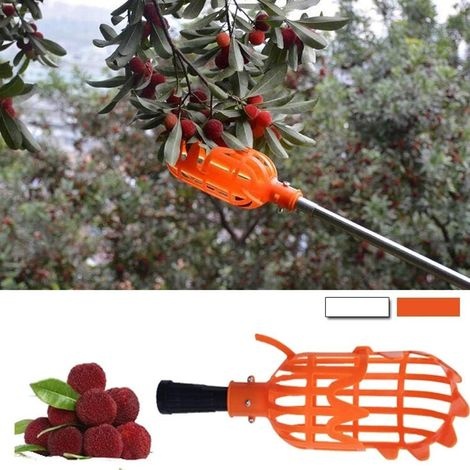 Obstkorbaufsatz Aus Kunststoff, Arbeitssparendes Werkzeug Zum Sammeln Von Früchten (orangen) Für Die Ernte.
