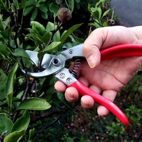 Vs-8z, Gartenschere, Ars-vs-8xz