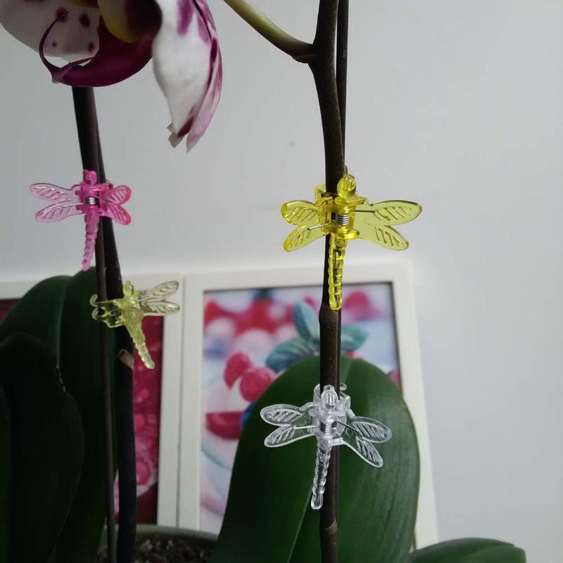 30 Stück Orchideenclips, Libellen-kunststoffclips, Gartenpflanzenstützclips, Tomatenrankclips Für Blumen, Ranken, Sträuße Und Stiele