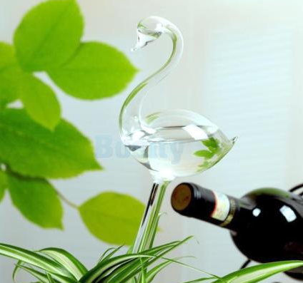 Zimmerpflanzen Und Blumen – Automatische, Schwanenförmige Gießkanne Aus Klarglas