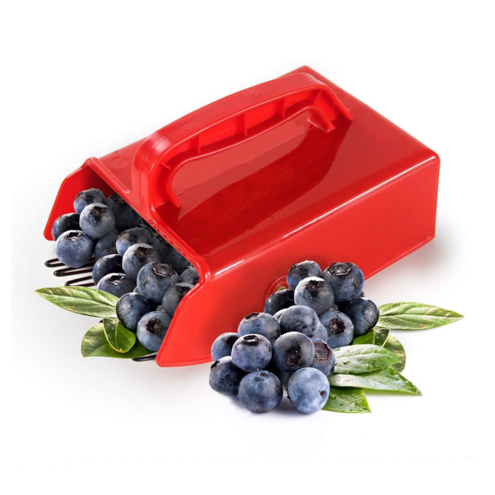 Beerenpflücker Mit Metallkamm Und -griff Für Die Einfachere Ernte Von Heidelbeeren Und Brombeeren – Gartengerät
