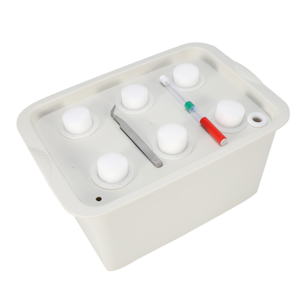 Hydroponisches 6-loch-anbauset Für Pflanzen, Blasensystem, Gartenschrank Für Drinnen Und Draußen (grau)