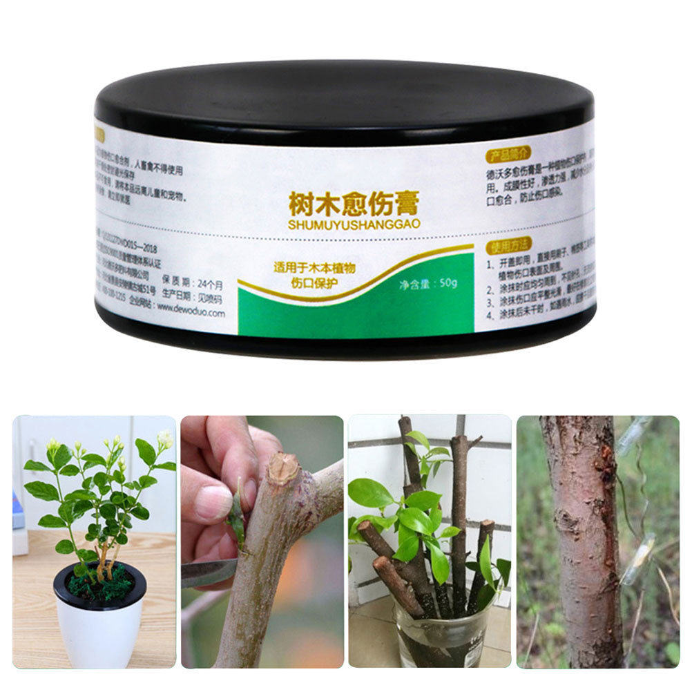 50 G Pflanzenwundversiegelungsmittel, Wundheilmittel Für Bonsai, Schnittpaste Für Bäume