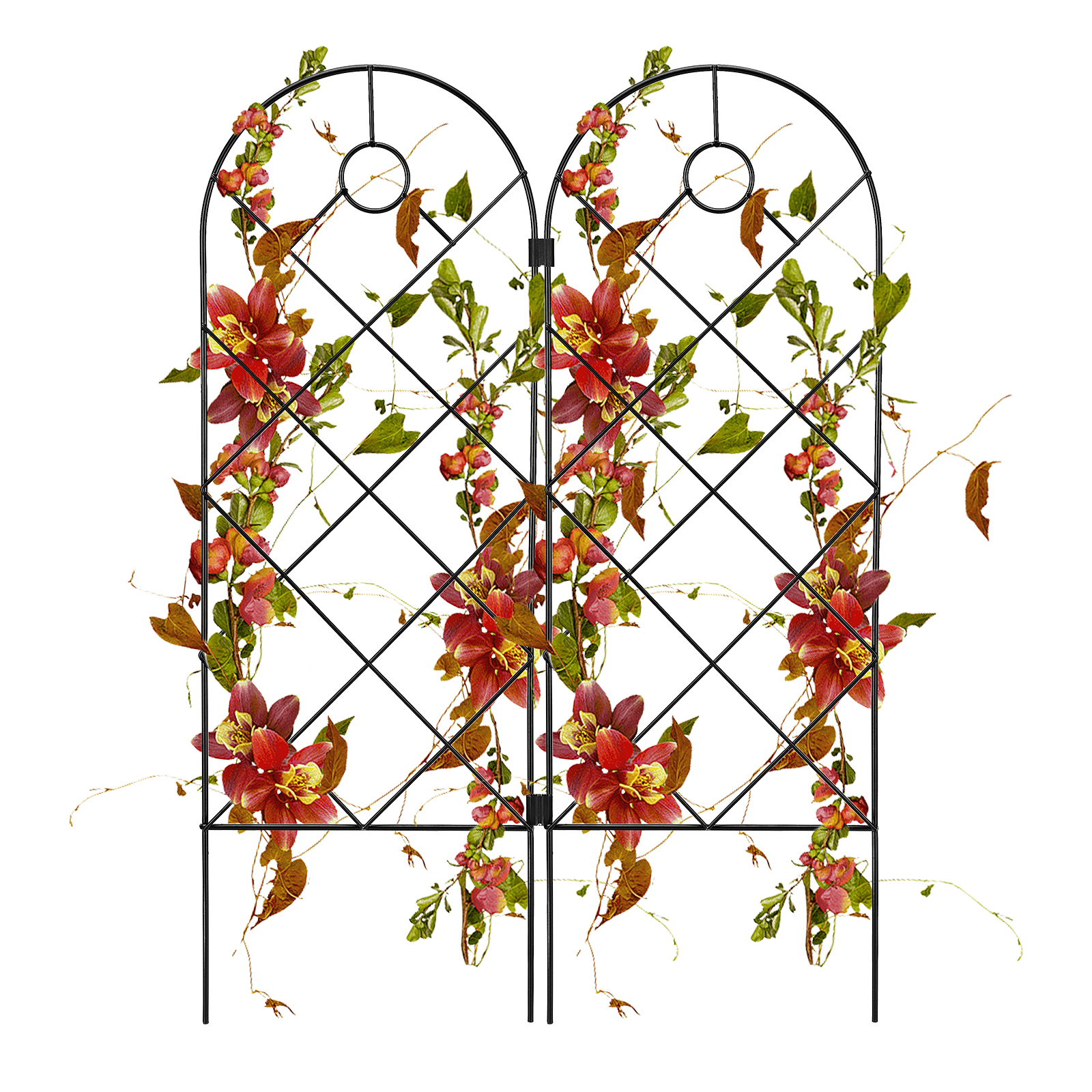 Set Aus 2 Pflanzenspalieren, 58 X 20 Cm, Aus Rostfreiem Metall, Dekorativer Gartenzaun Für Blumen, Gemüse, Rosen Und Kletterpflanzen
