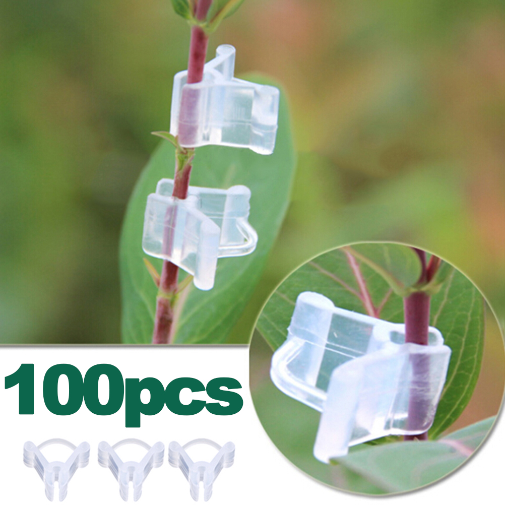 Packung Mit 100 Veredelungsclips Für Kletterpflanzen Und Gartengeräte
