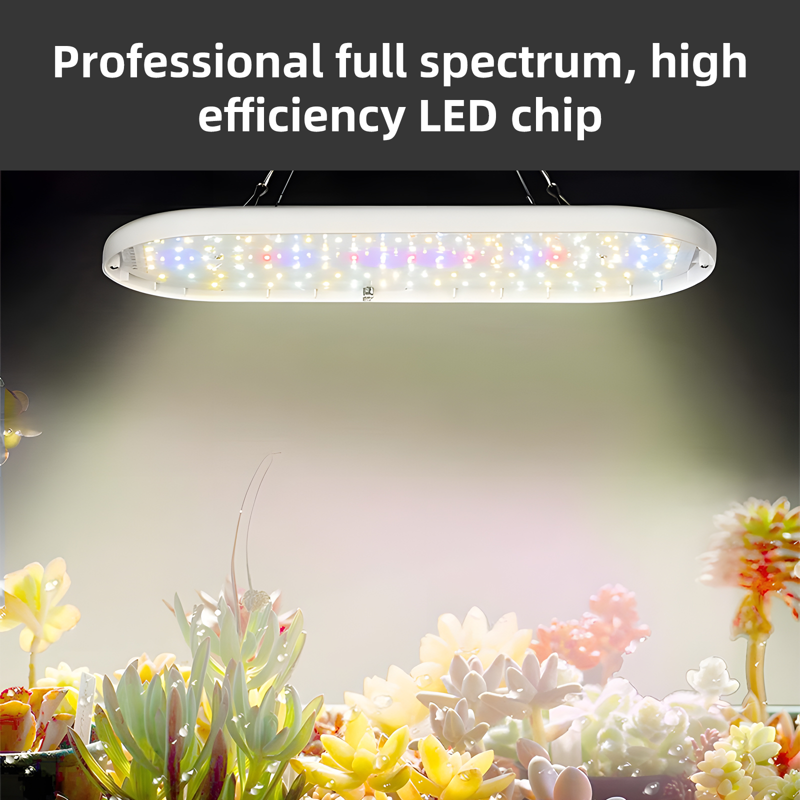10-w-vollspektrum-led-pflanzenlampe, 2-h/4-h/8-h-timer, 4 Helligkeitsstufen, Für Zimmerpflanzen, Blumensetzlinge, Gemüse, Paprika, Hängelampen