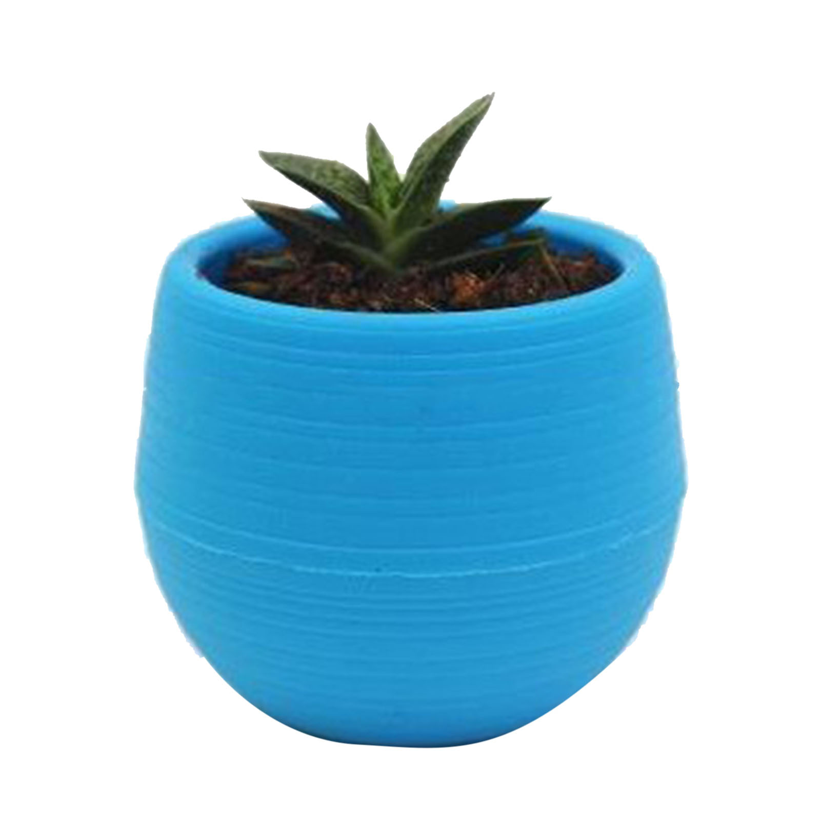 Topf Für Sukkulenten, Mini-kunststoffblumentopf Für Garten, Hof Oder Balkon (blau)