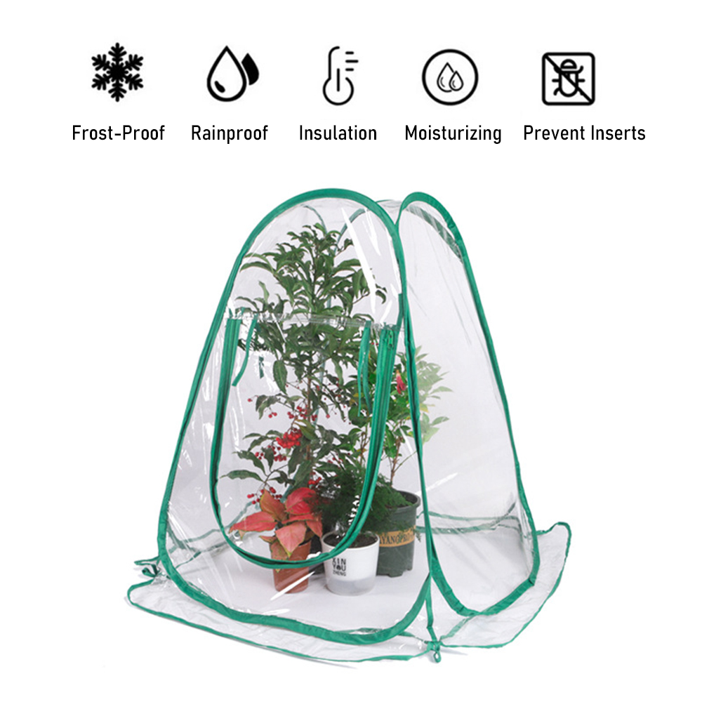 Kleines, Faltbares Pvc-gewächshaus Für Pflanzen, Ideal Für Blumen Und Gartenarbeit. Schützt Pflanzen Im Freien Vor Regen Und Frost. Sonniger Standort.