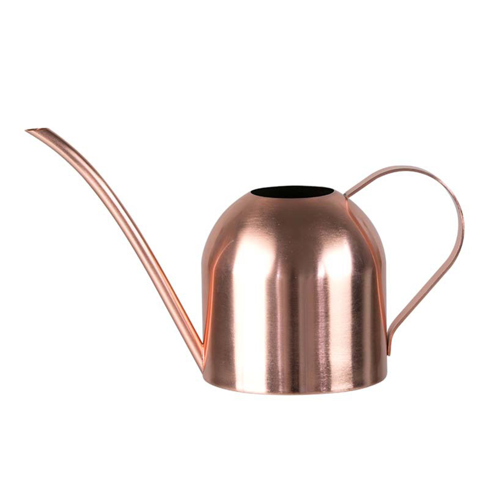 Gießkanne Aus Edelstahl Mit Langem Ausguss, Gartengerät, 450 Ml