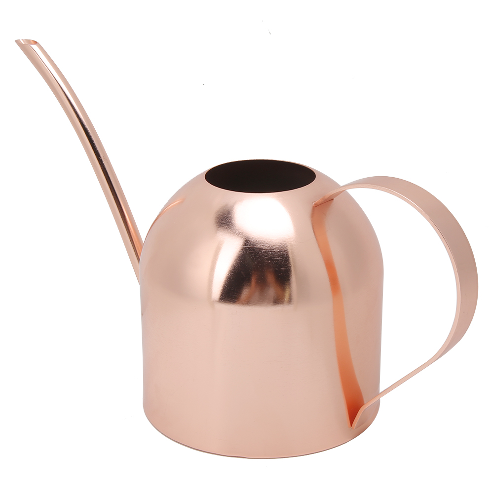 Gießkanne Aus Edelstahl, 1000 Ml, Mit Großer Öffnung, Für Blumen Und Gartenpflanzen.