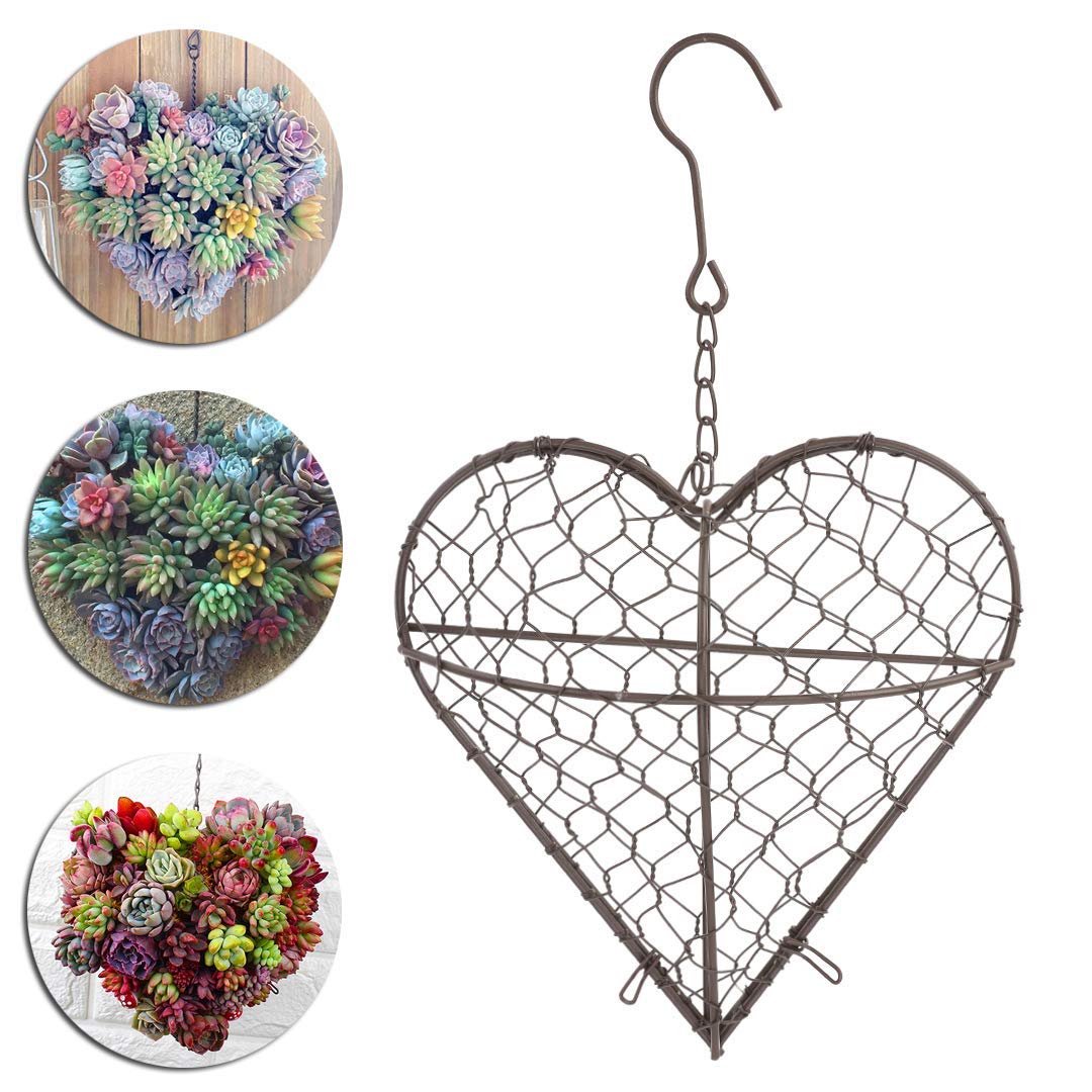 Herzförmiger, Hängender Blumentopf Aus Eisen Für Sukkulenten, Wanddekoration Für Drinnen Und Draußen, Leichter Blumentopfständer