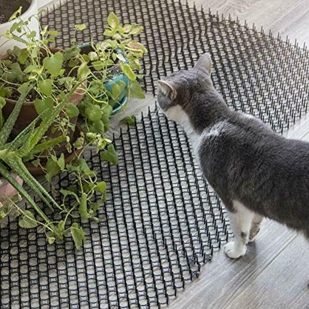 Katzenabweisende Matte 13x49cm, Anti-grab-netz, Klebestreifen, Schädlingsabwehr Für Zuhause