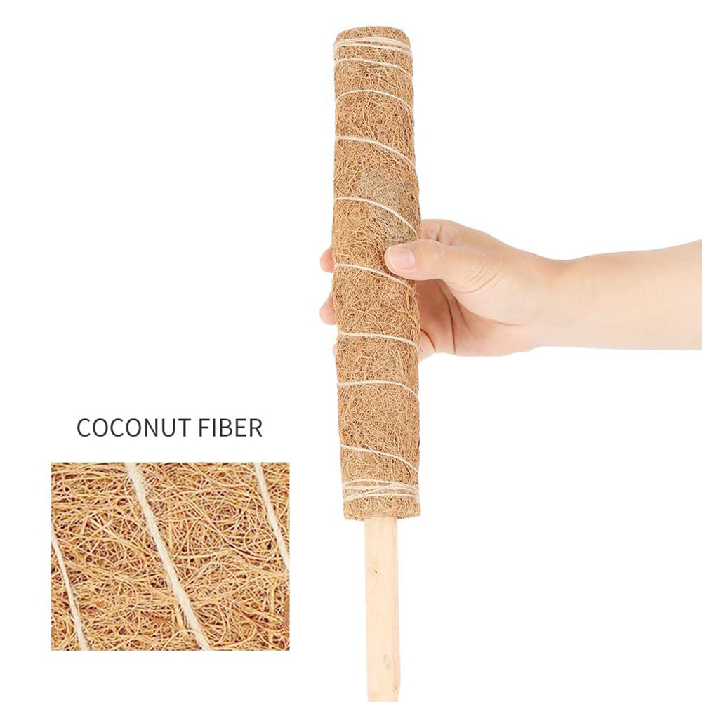 Set Mit 4 Pflanzenstützen Aus Kokosfasern, 450 Mm Lang. Ideal Zum Stützen Von Pflanzen.