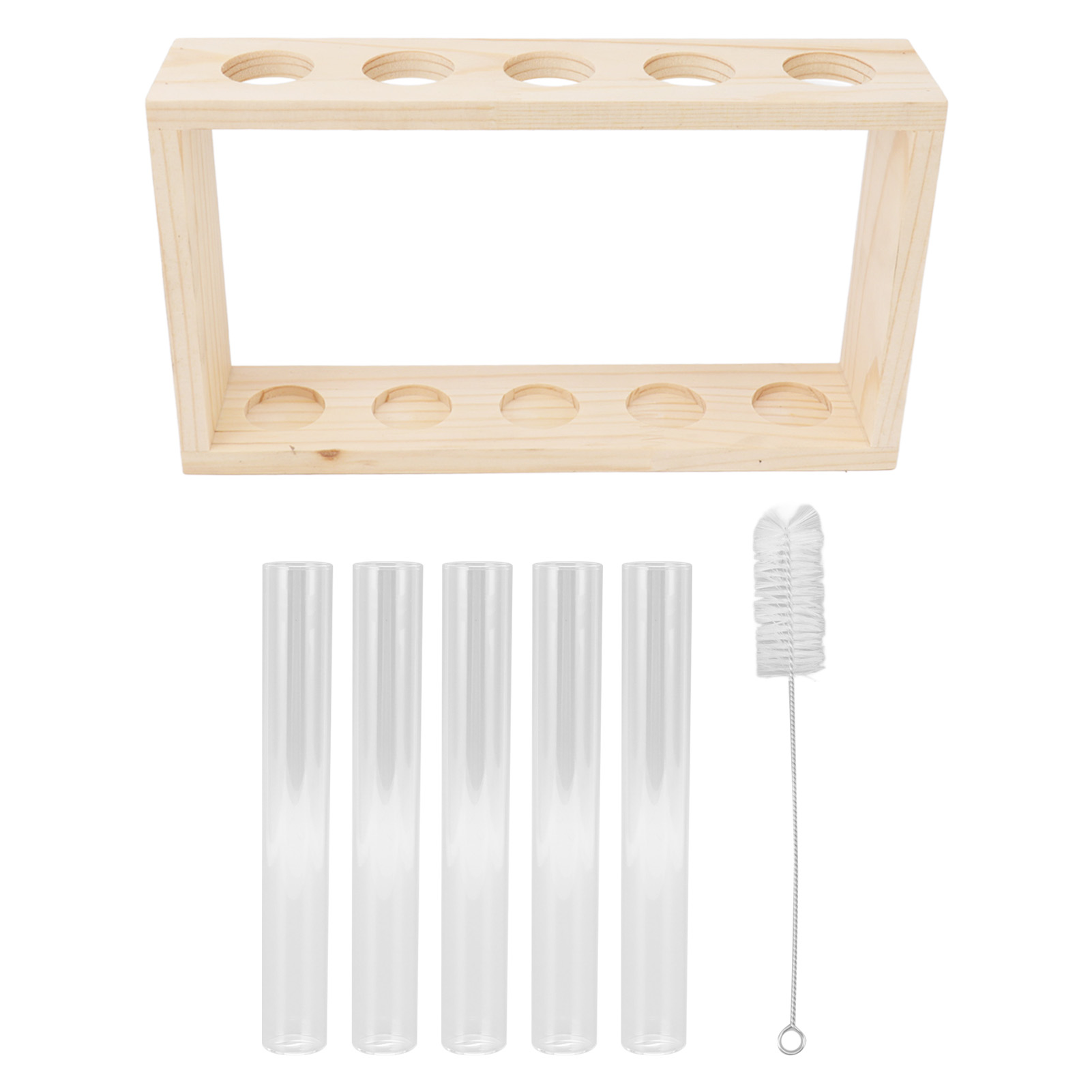 Transparentes Terrarium Mit 5 Reagenzgläsern Für Pflanzen Zur Beobachtung Des Pflanzenwachstums Und Der Wassernutzung. Holzständer Für Kräuter Und Holzstämme.