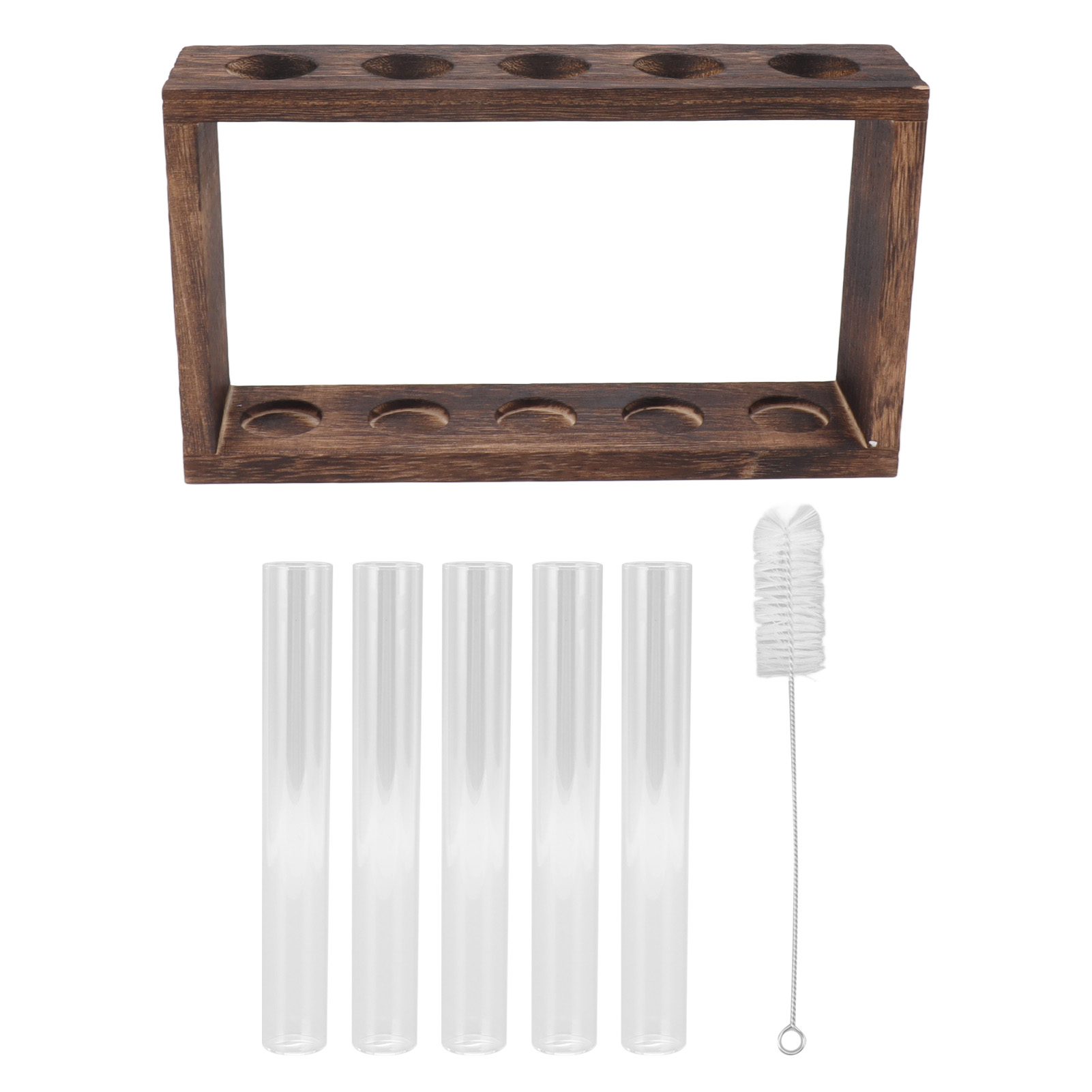 Transparentes Terrarium Mit 5 Reagenzgläsern Für Pflanzen, Mit Holzhalterung Für Aromatische Kräuter Und Aktivkohle, Ideal Zur Beobachtung Des Wachstums.