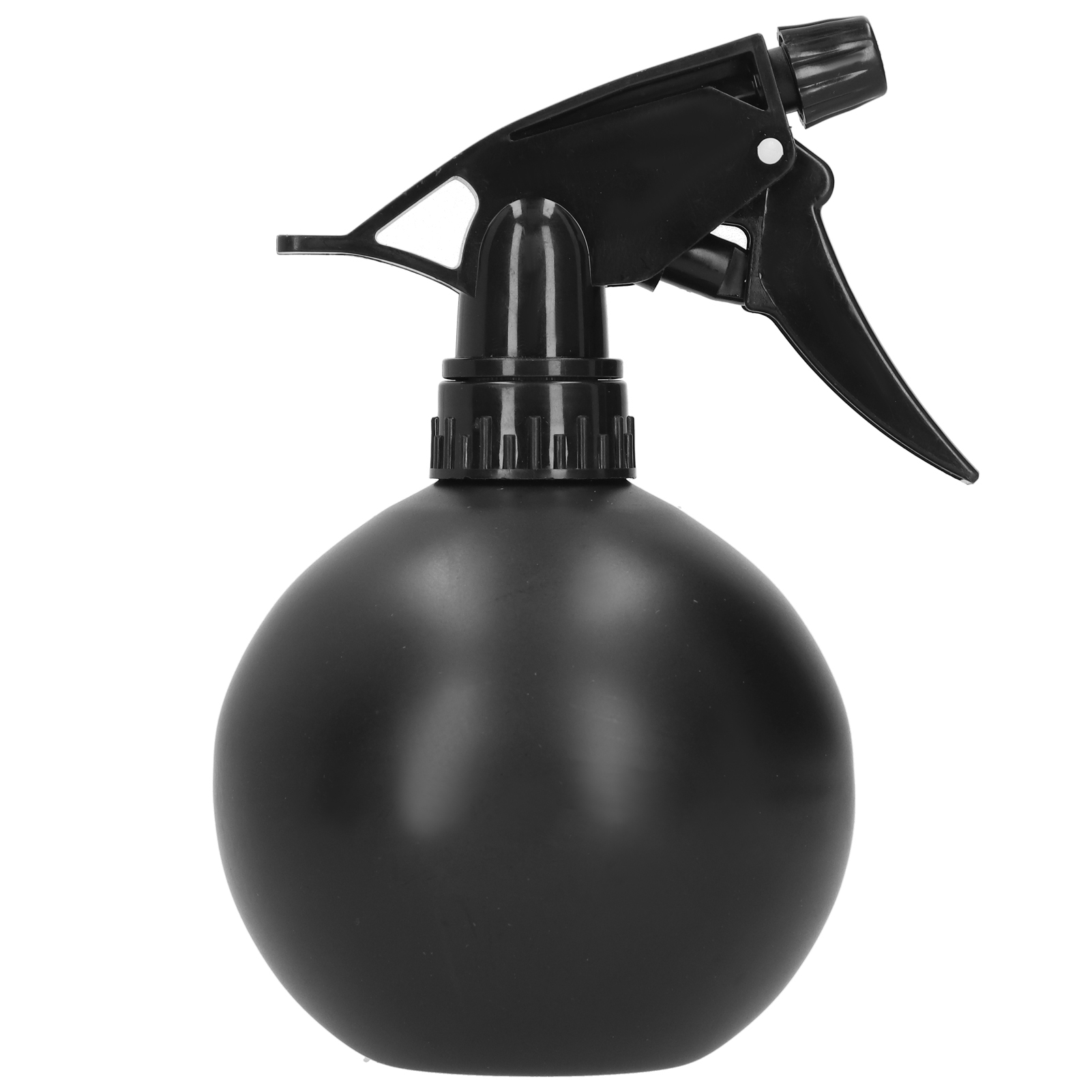 500-ml-gießkanne Aus Edelstahl, Wassersprüher Für Zimmerpflanzen Und Blumen, Schwarz