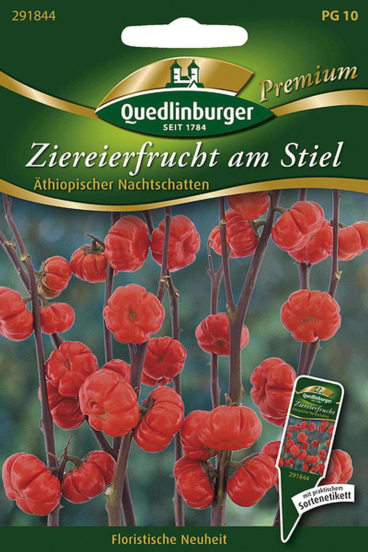 Quedlinburger Ziereierfrucht Am Stiel - Blumensamen