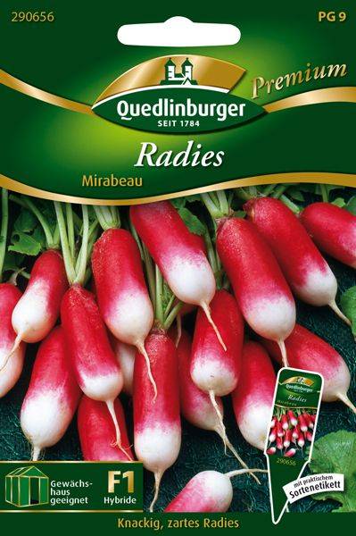 Quedlinburger Radies Mirabeau - Gemüsesamen