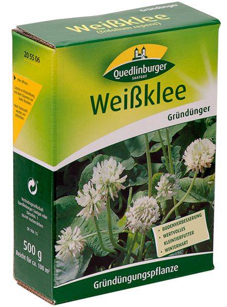 Quedlinburger Gründüngung Weißklee 500 G - Faltschachtel