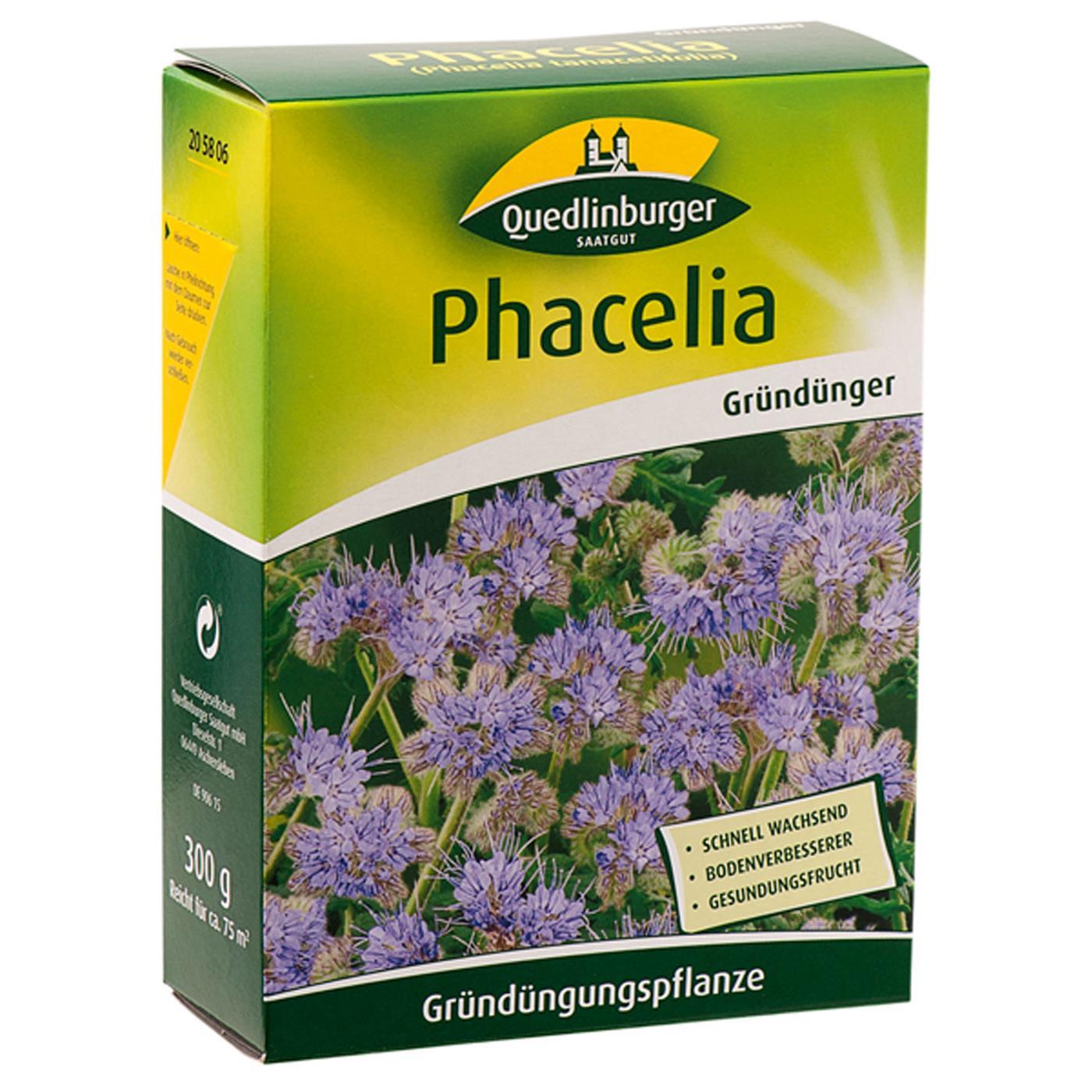 Quedlinburger Gründünger Bienenfreund Phacelia Für Ca. 75 M² 300 G - Faltschachtel