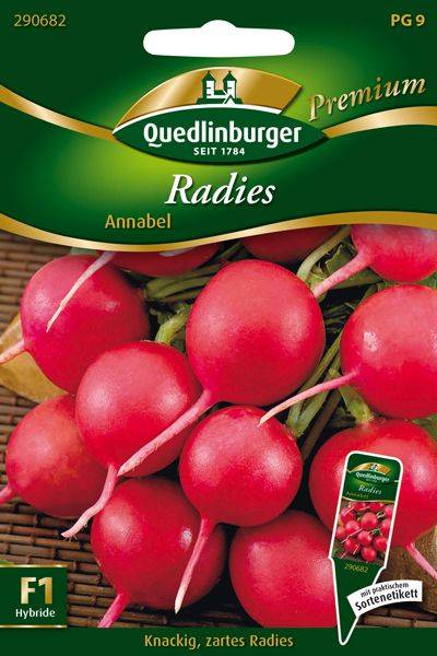 Quedlinburger Radies Annabel - Gemüsesamen