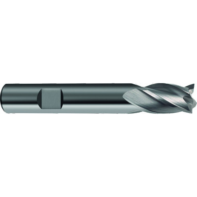 Schaftfräser 3298 DIN6527K N VHM blank RH 5mm