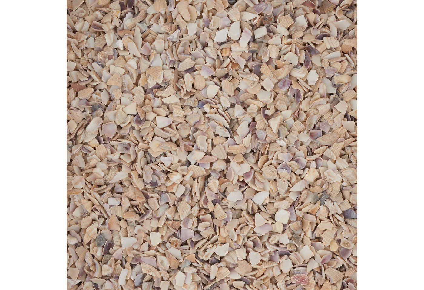Eurosand Streudeko Muschelgranulat, 2-3mm 1 kg