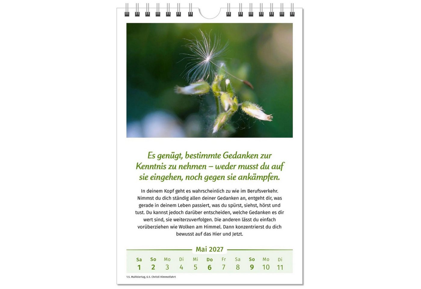 Wandkalender Der Lebensfreude-Kalender 2027 Bild 5