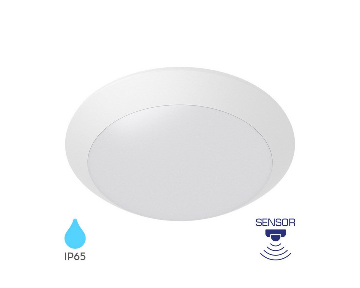 Braytron LED Deckenleuchte Außen Deckenlicht IP65 Ø265mm – E27 Fassung Bewegungsmelder, ohne Leuchtmittel, IP65 wasserdicht, Für den Außenbereich geeignet Bild 3