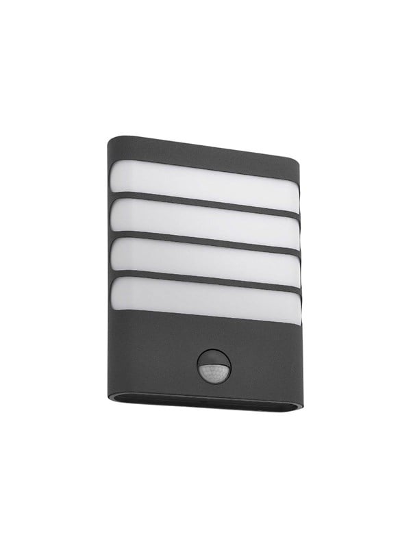 Philips LED-Wandleuchte MyGarden Raccoon Anthrazit 20,4 cm x 16,1 cm