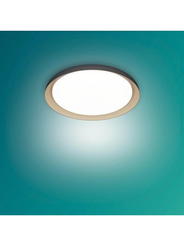 Philips Deckenleuchte Pebblo Schwarz Ø 32 cm