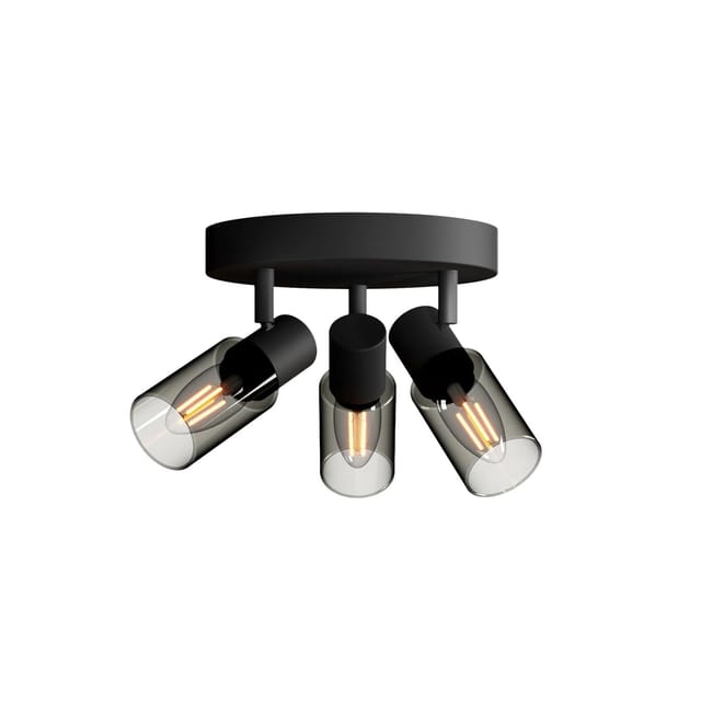 Philips Spot Palms 3-Flammig 25 W E14 Rund Schwarz