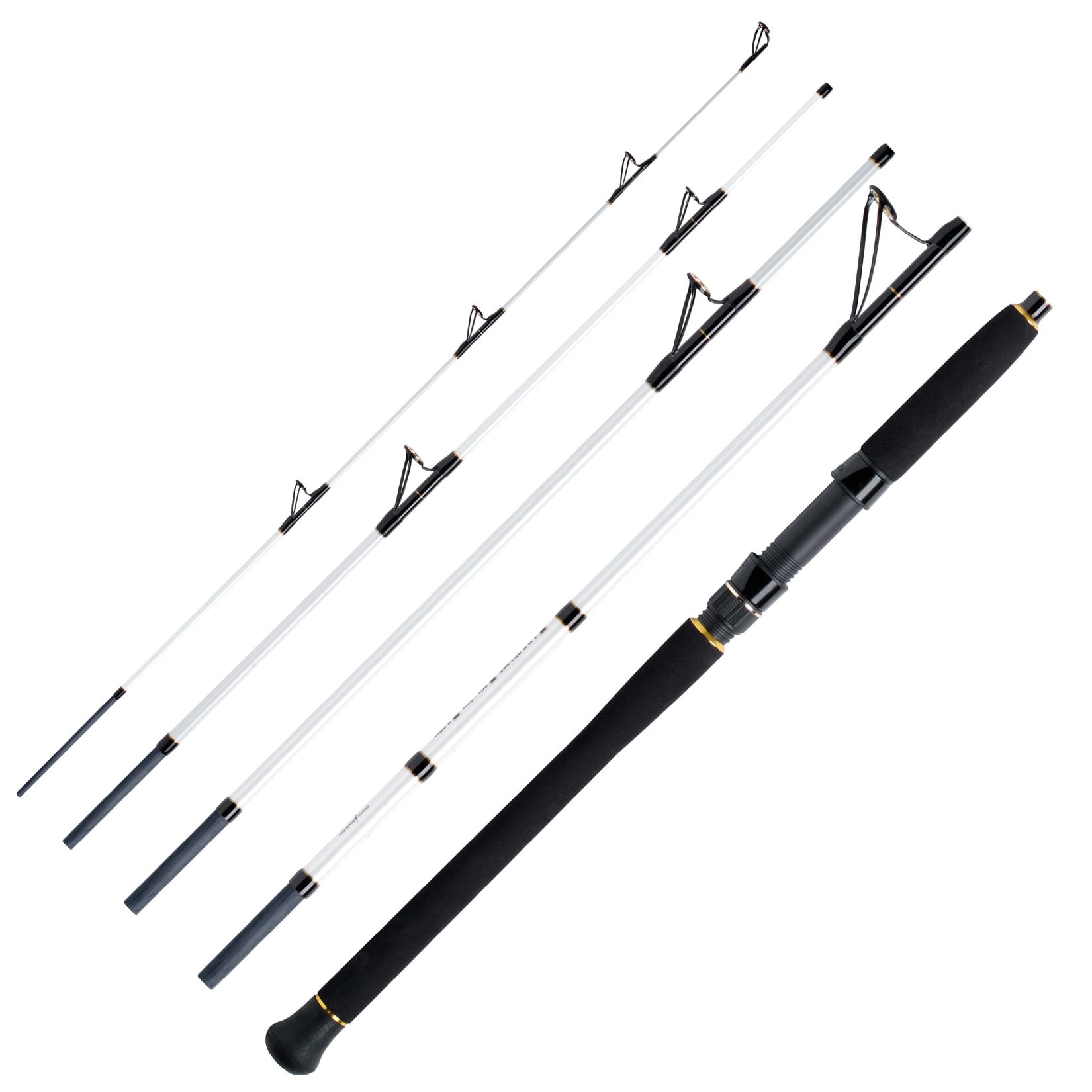 WFT Pollack Jigger Salzmeister 2,65m 20-90g Reiserute 5-Teilig