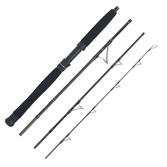 WFT Cool Sea Special Fjord 4pc. 2,10m 18lbs 20-200g Meeres-Reiserute
