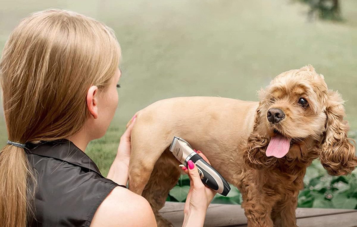 Oneisall P2 Dog Clipper & Dog Grooming Kit Bild 5