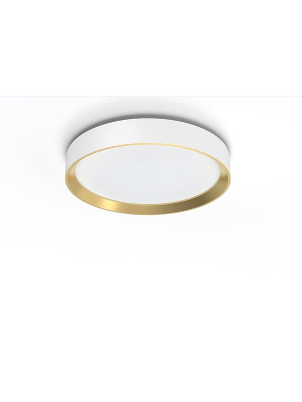 Philips Hanno ceiling SS RD 24W 27K W_G