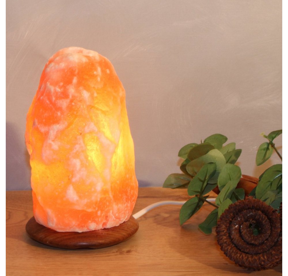 Wagner Life Design Salzkristall-Tischlampe Rock, Leuchtmittel wechselbar, Warmweiß, Handgefertigt - jeder Stein ein Unikat, H: ca.29 cm, ca.7-10 kg