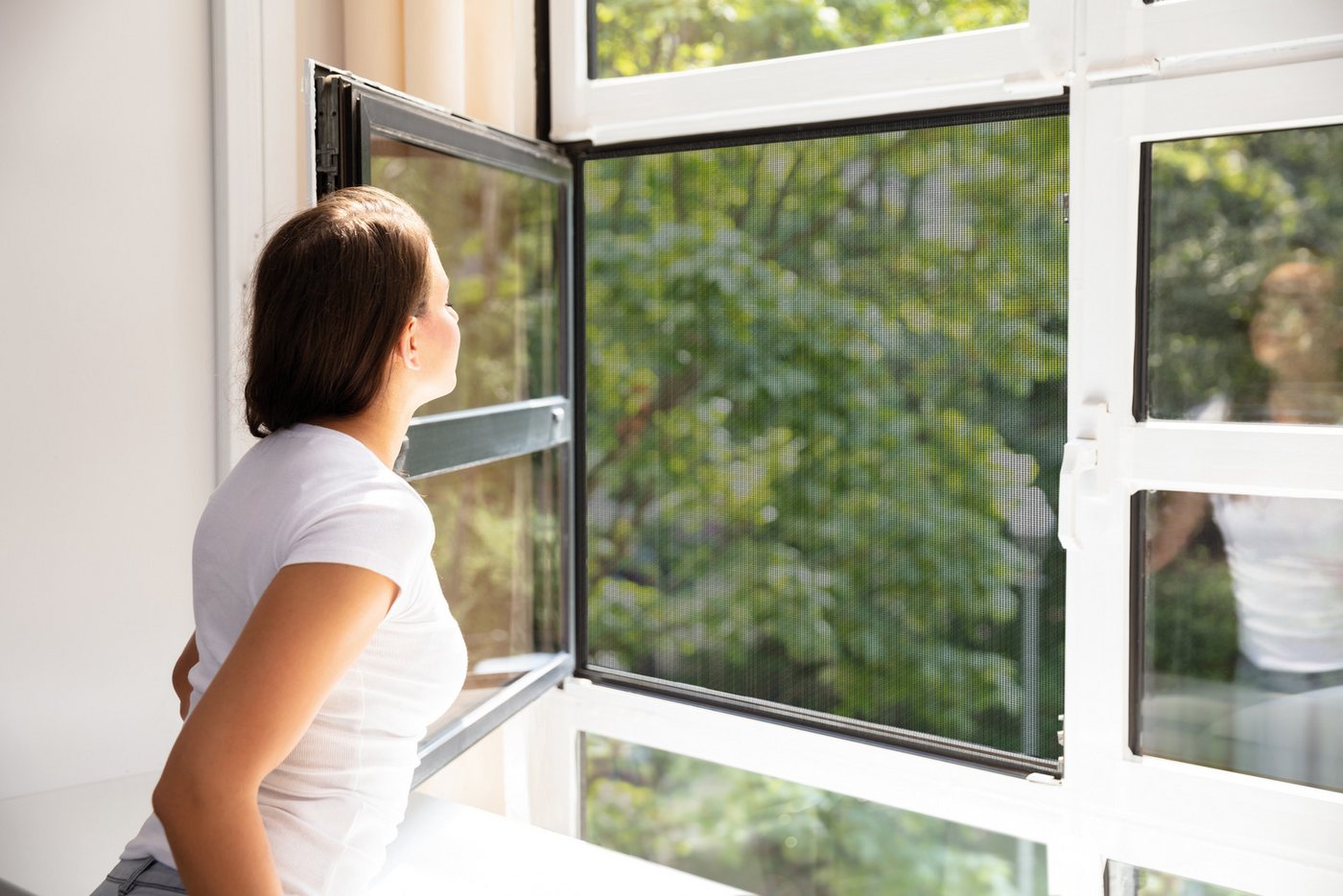 SCHELLENBERG Fliegengitter-Gewebe Maxi für große Fenster, (Packung, 5-St), Insektenschutz und Mückenschutz, 150 x 300 cm, anthrazit und weiß Bild 5