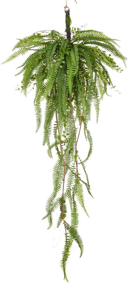 Kunstpflanze Farn, Creativ green, Höhe 100 cm, mit detailgetreuen Farnwedeln an Reisigkugel Bild 2