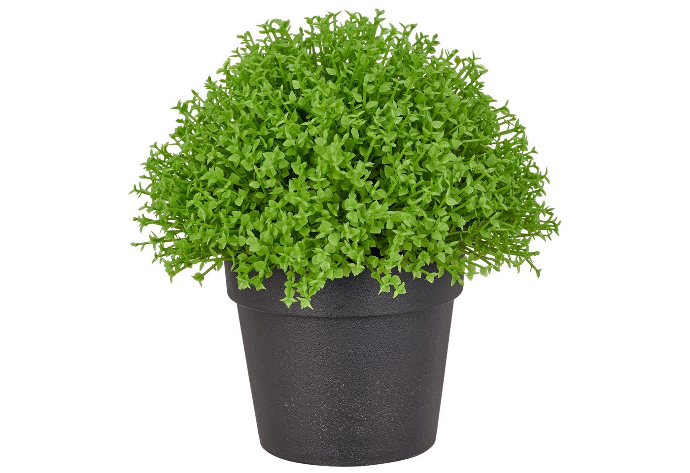 Kunstpflanze Halbkugel Selaginella apoda, Creativ green, Höhe 16 cm, in kompakter Größe
