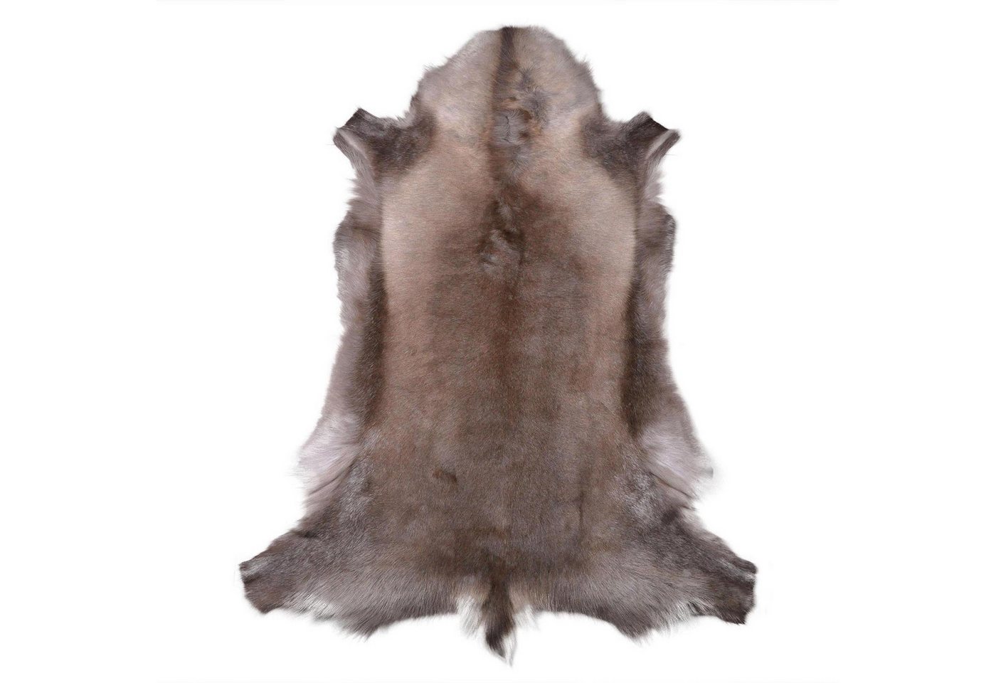 Livorio Fellteppich Rentierfell, dunkel, Größe XL, Länge: 140-145 cm, original aus Skandinavien, Premium Qualität Bild 5