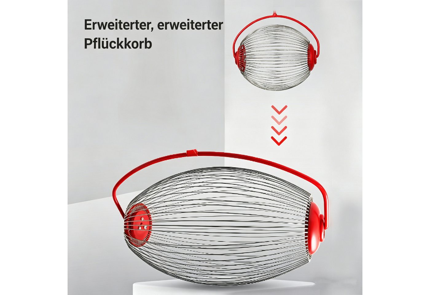 GARRYFIZH Rollsammler Nusssammler Rollsammler Edelstahl für Nüsse Fallobst rückenschonend, Rückenschonender Gartenhelfer zum Sammeln von Nüssen und Obst Bild 2
