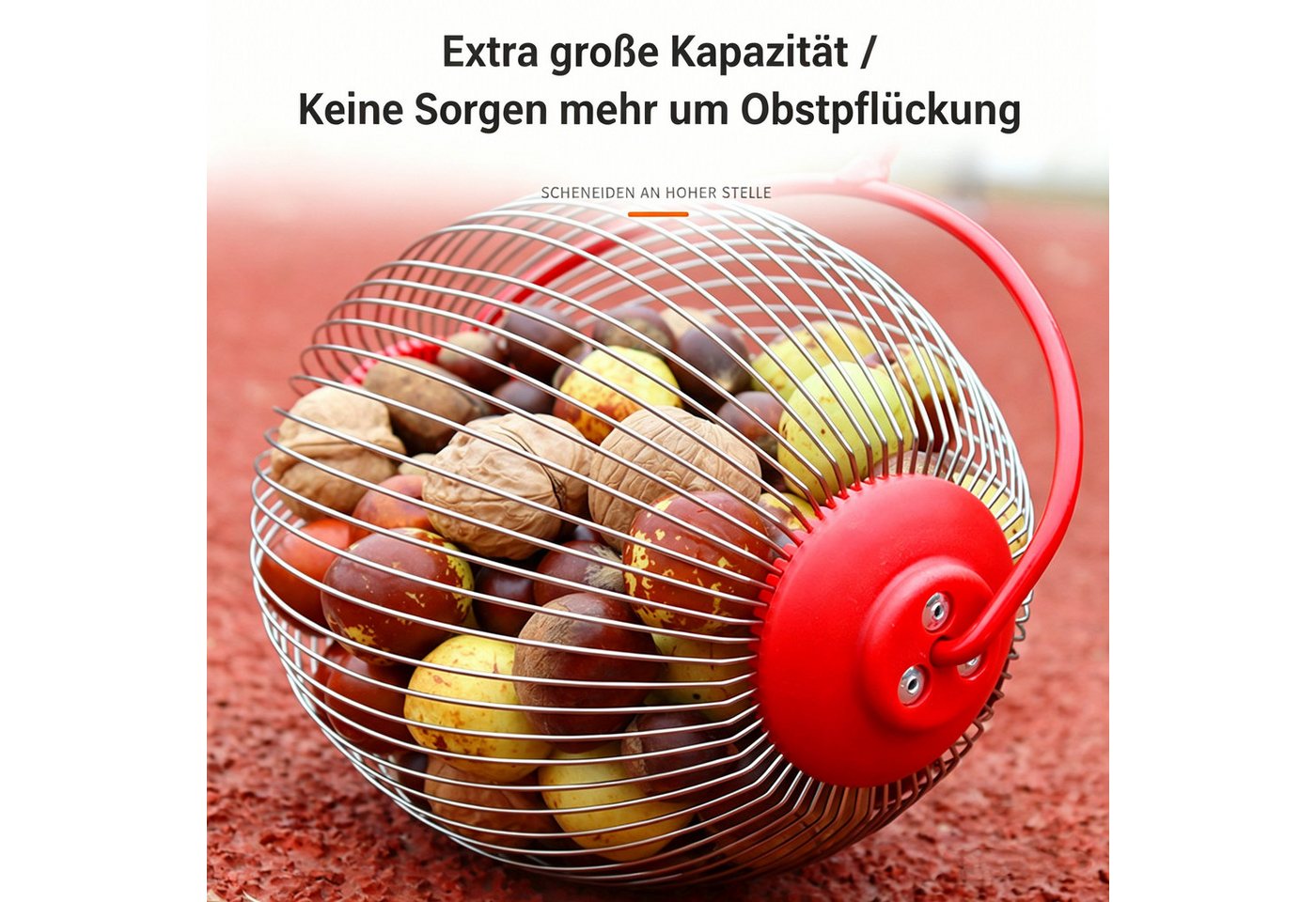 GARRYFIZH Rollsammler Nusssammler Rollsammler Edelstahl für Nüsse Fallobst rückenschonend, Rückenschonender Gartenhelfer zum Sammeln von Nüssen und Obst Bild 3