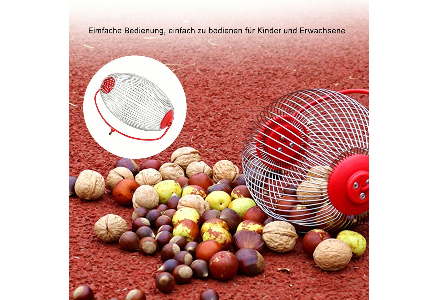 GARRYFIZH Rollsammler Nusssammler Rollsammler Edelstahl für Nüsse Fallobst rückenschonend, Rückenschonender Gartenhelfer zum Sammeln von Nüssen und Obst Bild 5