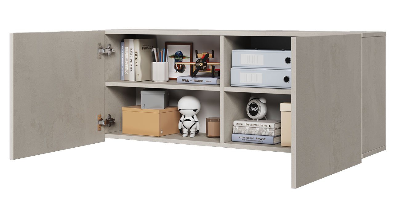 MIRJAN24 Hängeschrank Teen Flex 2D TF-10 (2-Drehtüren) Ohne Griffe, 110x27x45 cm Bild 3
