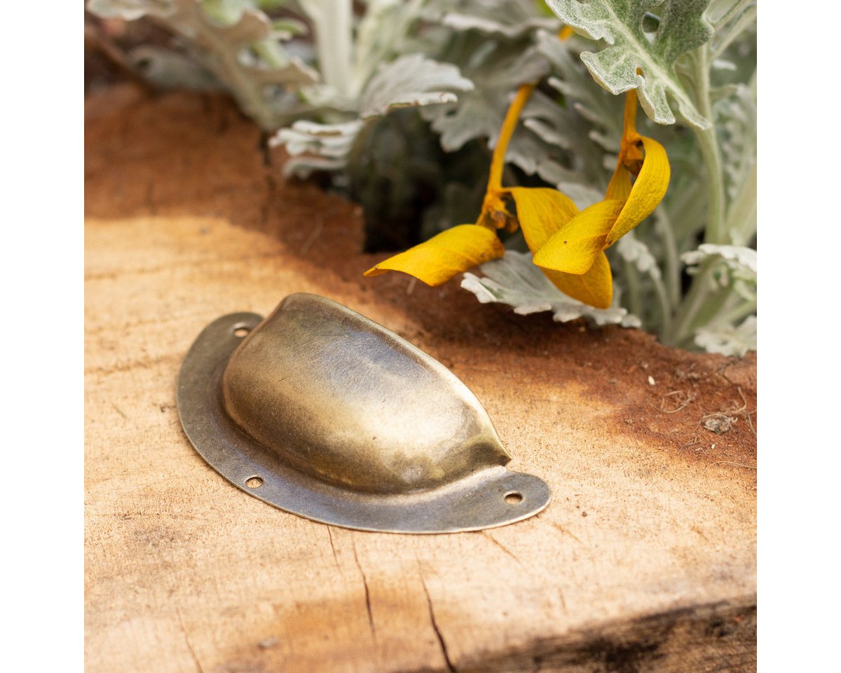 Antikas Möbelbeschlag Apothekergriff Griffmuscheln Muschelgriffe Schalengriffe Griffschale Bild 2